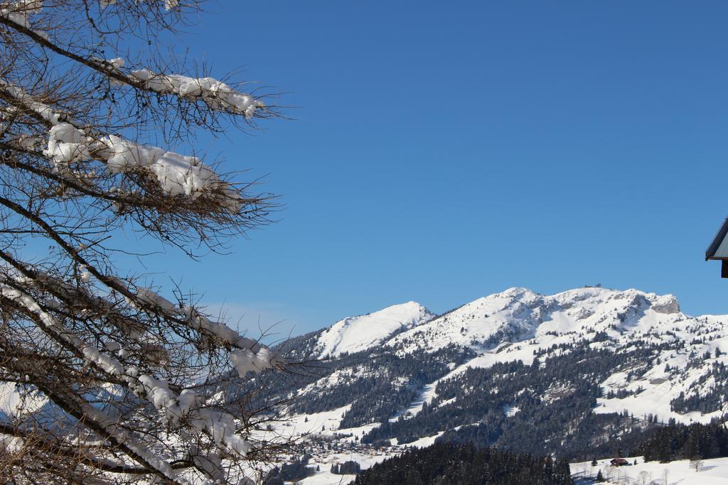Apartamento Les Frenes Leysin Exterior foto